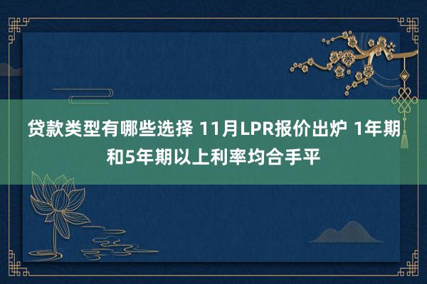 贷款类型有哪些选择 11月LPR报价出炉 1年期和5年期以上利率均合手平