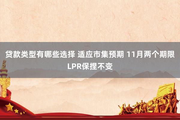 贷款类型有哪些选择 适应市集预期 11月两个期限LPR保捏不变