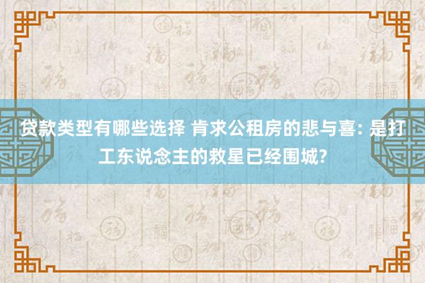 贷款类型有哪些选择 肯求公租房的悲与喜: 是打工东说念主的救星已经围城?