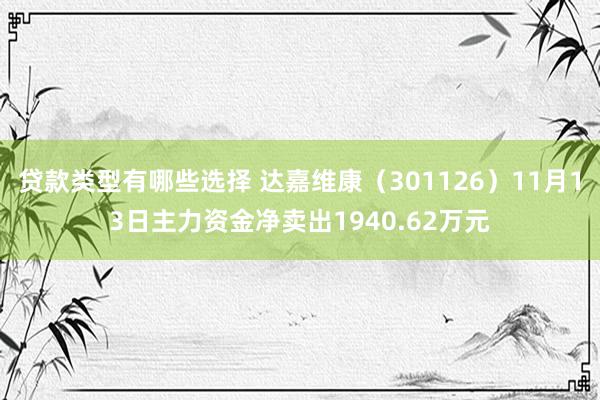 贷款类型有哪些选择 达嘉维康（301126）11月13日主力资金净卖出1940.62万元