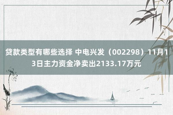 贷款类型有哪些选择 中电兴发（002298）11月13日主力资金净卖出2133.17万元