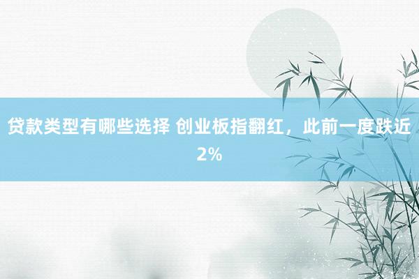 贷款类型有哪些选择 创业板指翻红，此前一度跌近2%