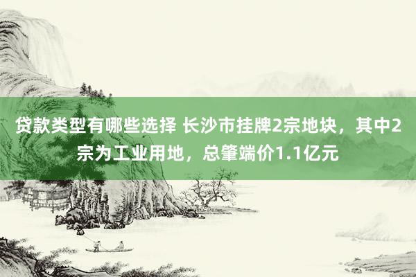 贷款类型有哪些选择 长沙市挂牌2宗地块，其中2宗为工业用地，总肇端价1.1亿元