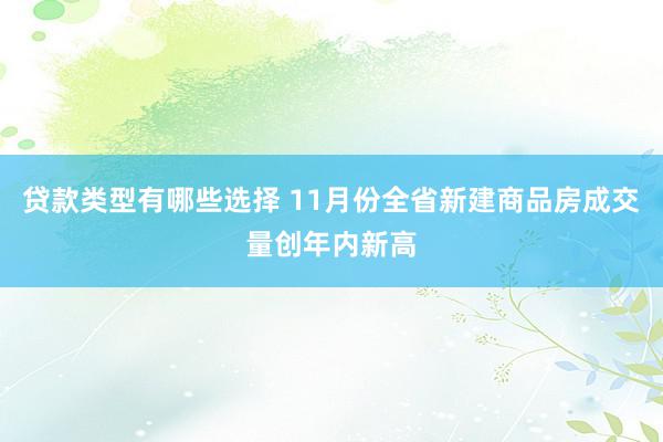 贷款类型有哪些选择 11月份全省新建商品房成交量创年内新高