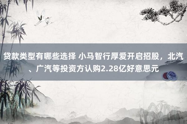 贷款类型有哪些选择 小马智行厚爱开启招股，北汽、广汽等投资方认购2.28亿好意思元