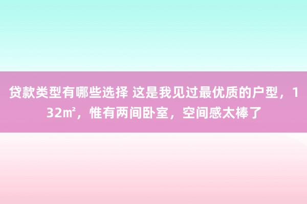 贷款类型有哪些选择 这是我见过最优质的户型，132㎡，惟有两间卧室，空间感太棒了