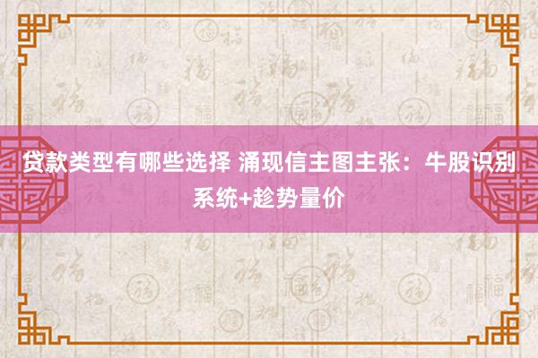 贷款类型有哪些选择 涌现信主图主张：牛股识别系统+趁势量价