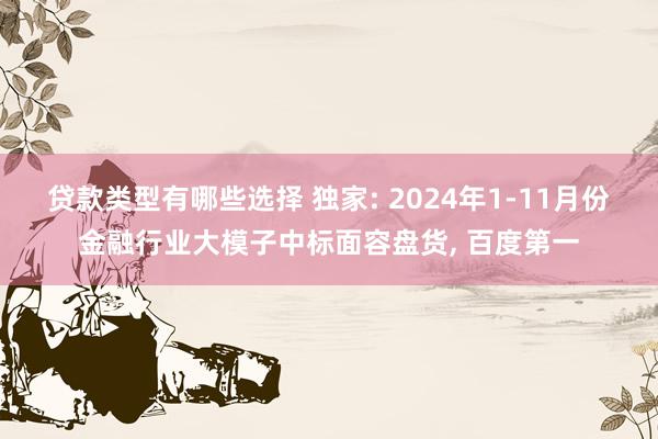 贷款类型有哪些选择 独家: 2024年1-11月份金融行业大模子中标面容盘货, 百度第一