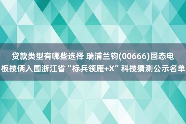 贷款类型有哪些选择 瑞浦兰钧(00666)固态电板技俩入围浙江省“标兵领雁+X”科技猜测公示名单