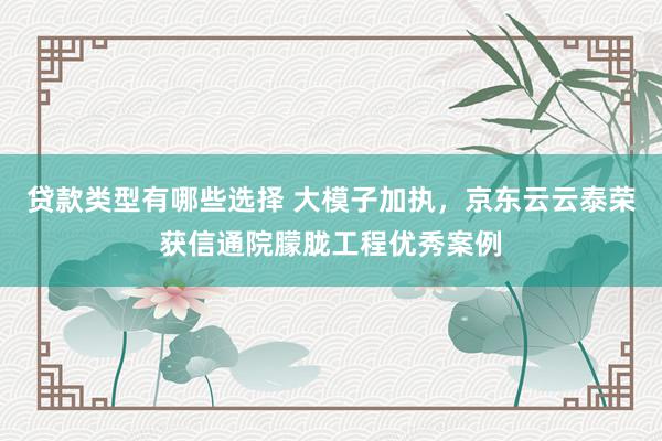 贷款类型有哪些选择 大模子加执，京东云云泰荣获信通院朦胧工程优秀案例