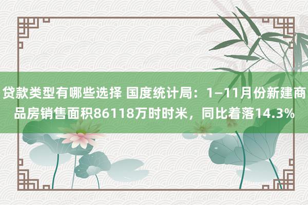 贷款类型有哪些选择 国度统计局：1—11月份新建商品房销售面积86118万时时米，同比着落14.3%