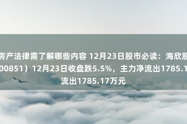 房产法律需了解哪些内容 12月23日股市必读：海欣股份（600851）12月23日收盘跌5.5%，主力净流出1785.17万元