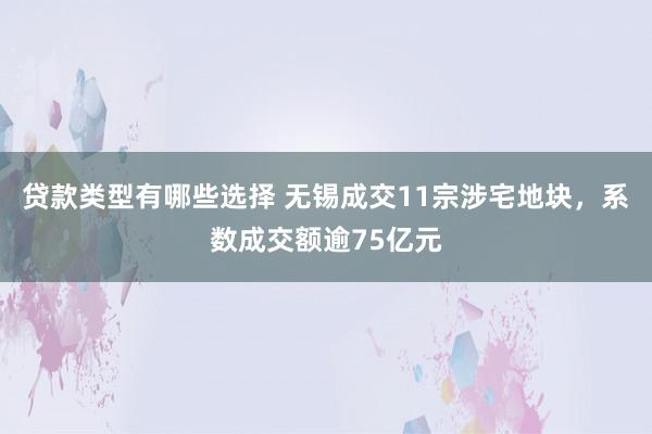 贷款类型有哪些选择 无锡成交11宗涉宅地块，系数成交额逾75亿元