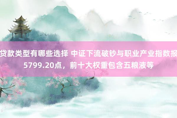 贷款类型有哪些选择 中证下流破钞与职业产业指数报5799.20点，前十大权重包含五粮液等