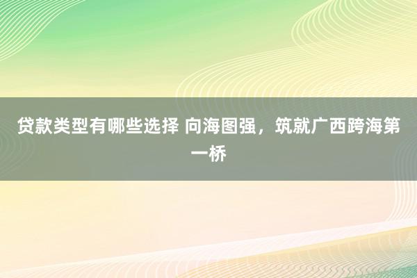 贷款类型有哪些选择 向海图强，筑就广西跨海第一桥