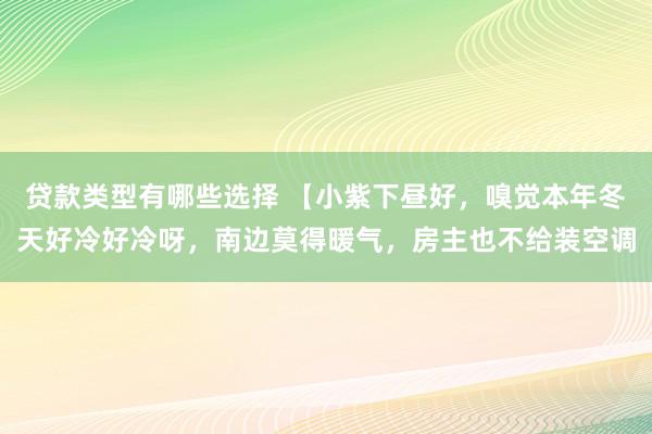 贷款类型有哪些选择 【小紫下昼好，嗅觉本年冬天好冷好冷呀，南边莫得暖气，房主也不给装空调