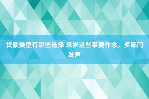 贷款类型有哪些选择 来岁这些事要作念，多部门发声