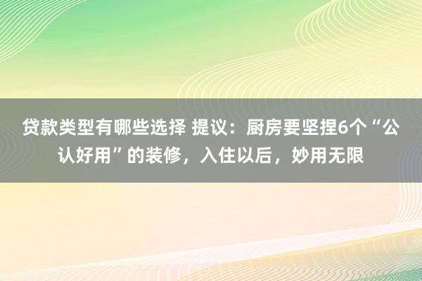 贷款类型有哪些选择 提议：厨房要坚捏6个“公认好用”的装修，入住以后，妙用无限