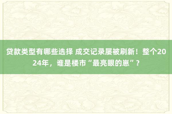 贷款类型有哪些选择 成交记录屡被刷新！整个2024年，谁是楼市“最亮眼的崽”？