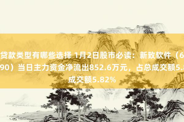 贷款类型有哪些选择 1月2日股市必读：新致软件（688590）当日主力资金净流出852.6万元，占总成交额5.82%