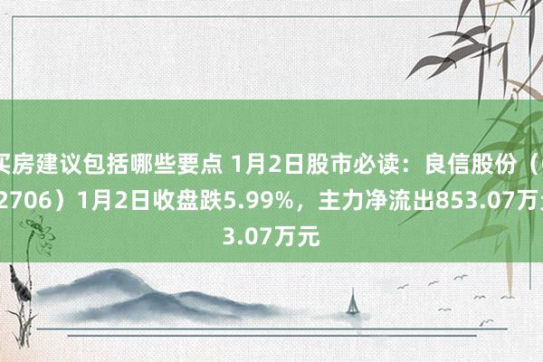 买房建议包括哪些要点 1月2日股市必读：良信股份（002706）1月2日收盘跌5.99%，主力净流出853.07万元