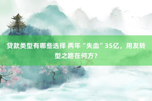 贷款类型有哪些选择 两年“失血”35亿，用友转型之路在何方？