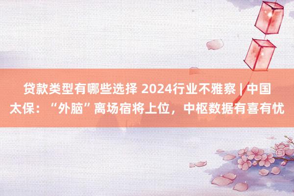 贷款类型有哪些选择 2024行业不雅察 | 中国太保：“外脑”离场宿将上位，中枢数据有喜有忧