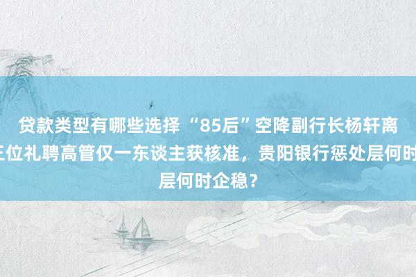 贷款类型有哪些选择 “85后”空降副行长杨轩离职，三位礼聘高管仅一东谈主获核准，贵阳银行惩处层何时企稳？