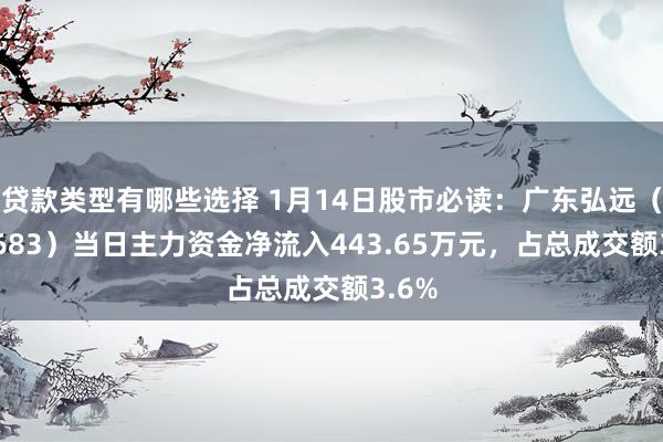 贷款类型有哪些选择 1月14日股市必读：广东弘远（002683）当日主力资金净流入443.65万元，占总成交额3.6%