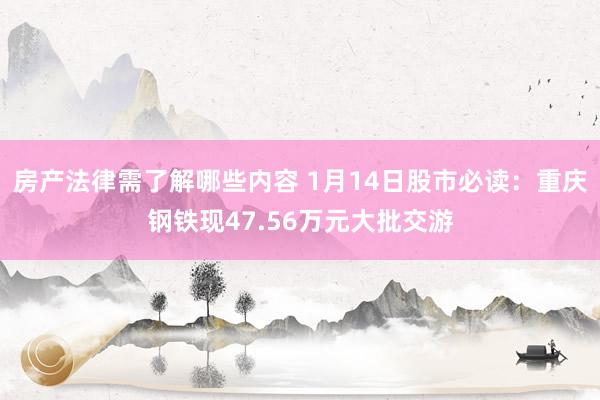 房产法律需了解哪些内容 1月14日股市必读：重庆钢铁现47.56万元大批交游