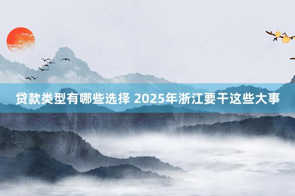 贷款类型有哪些选择 2025年浙江要干这些大事