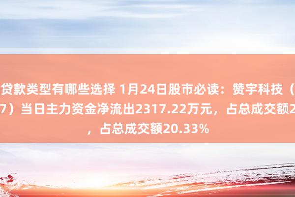 贷款类型有哪些选择 1月24日股市必读：赞宇科技（002637）当日主力资金净流出2317.22万元，占总成交额20.33%