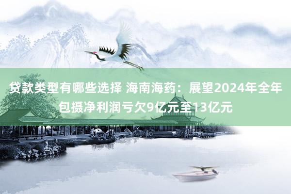 贷款类型有哪些选择 海南海药：展望2024年全年包摄净利润亏欠9亿元至13亿元