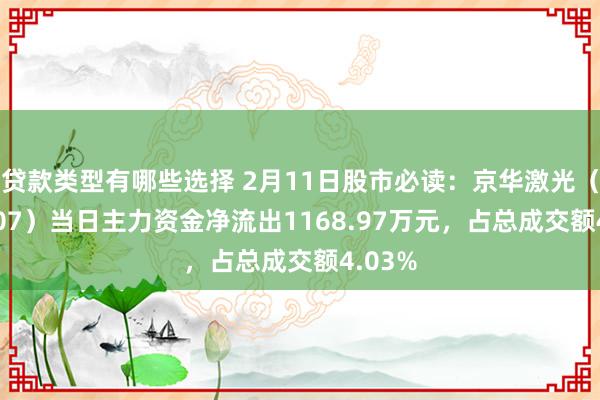 贷款类型有哪些选择 2月11日股市必读：京华激光（603607）当日主力资金净流出1168.97万元，占总成交额4.03%