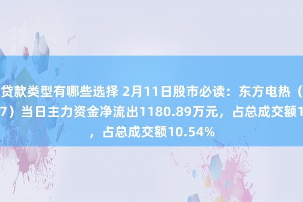 贷款类型有哪些选择 2月11日股市必读：东方电热（300217）当日主力资金净流出1180.89万元，占总成交额10.54%