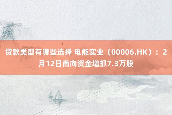 贷款类型有哪些选择 电能实业（00006.HK）：2月12日南向资金增抓7.3万股