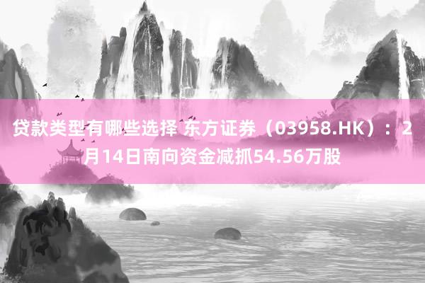 贷款类型有哪些选择 东方证券（03958.HK）：2月14日南向资金减抓54.56万股