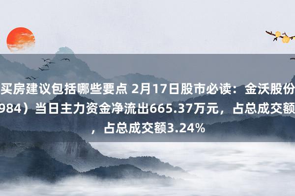 买房建议包括哪些要点 2月17日股市必读：金沃股份（300984）当日主力资金净流出665.37万元，占总成交额3.24%