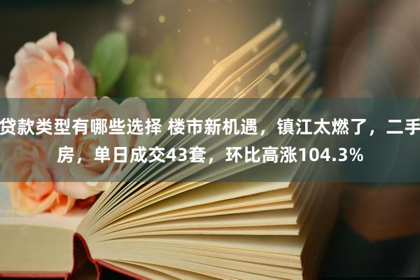 贷款类型有哪些选择 楼市新机遇，镇江太燃了，二手房，单日成交43套，环比高涨104.3%