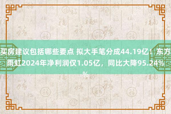 买房建议包括哪些要点 拟大手笔分成44.19亿！东方雨虹2024年净利润仅1.05亿，同比大降95.24%