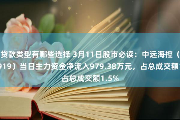 贷款类型有哪些选择 3月11日股市必读：中远海控（601919）当日主力资金净流入979.38万元，占总成交额1.5%