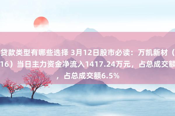 贷款类型有哪些选择 3月12日股市必读：万凯新材（301216）当日主力资金净流入1417.24万元，占总成交额6.5%