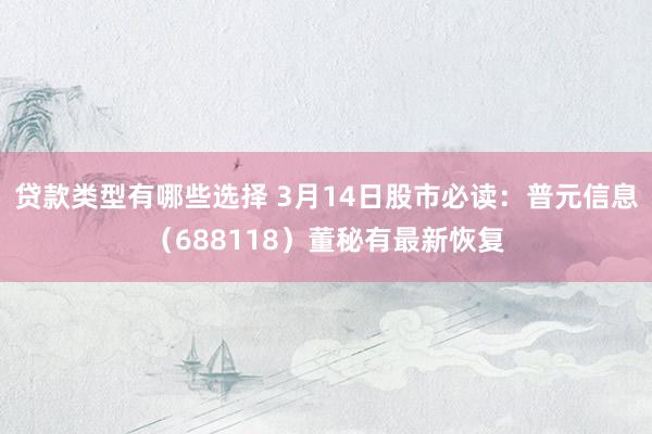 贷款类型有哪些选择 3月14日股市必读：普元信息（688118）董秘有最新恢复